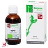 FITOMEDICAL SRL NOCE MACERATO GLICERICO 50 ML BIO