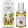 L'ERBOLARIO SB Srl Olio di Macassar Capelli Nutriente Senza Siliconi Parabeni Petrolati 100ml - L\'ERBOLARIO