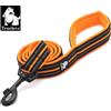 Truelove Guinzaglio per cani da compagnia Fettuccia in nylon riflettente Gancio in lega di zinco adatto per cani di piccola e grande lunghezza 110/200 cm Prodotti - NEON YELLOW