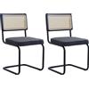EGOONM Set di 2/4 sedie da pranzo retrò sedie in rattan di plastica casa camera da letto scrivania schienale sgabello arco computer ufficio sedile imbottito - Grey-2pcs