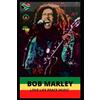 Books Of Intelligence Bob Marley (Tascabile)