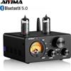 AIYIMA Audio T9 HiFi Bluetooth 5.0 amplificatore per tubo a vuoto USB DAC amplificatore Stereo coassiale OPT VU Meter amplificat