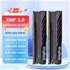 kingbank Memoria RAM KingBank DDR4 16gbx2 8gbx2 2666MHz 3200MHz 3600MHz XMP 8GB 16GB 32GB Memoria RAM 288pin Solo per CPU Intel -
