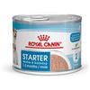 ROYAL CANIN ITALIA SHN WET STARTER MOTHER&BB 195G