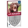 Advantix 25-40 kg 6 pipette