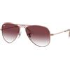Ray-Ban Ray Ban RJ 9506S 291/8H 52