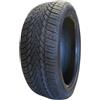ILINK 205/55 R16 91 H Ilink Winter Il868