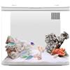 Dorccsi Starter Kit Per Acquario Piccolo Da 1,3 Galloni Con Filtro A 3 Strati E Luce LED, Acquario Da Tavolo Con Sistema Autopulente Decorazioni Per La Casa Per Pesci Betta, Gamberetti, Pesci Rossi, Decorazio