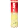 HEAD 4B Championship Palline Tennis, Unisex Adulto, Giallo, Taglia Unica, 575214