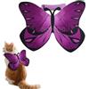 Generisch Halloween Animali domestici Farfalle Ali Costume Divertente Vestito Vestiti Cappotto Halloween Festival Festa Cosplay Carnevale Vestire Foto Accessori Decorazione per Gatti Cane