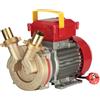 Rover Pompe Rover 40 CE - Pompa elettrica da travaso in bronzo - Monofase - 230V