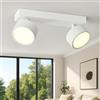 Doughelec Plafoniera Lampada da Soffitto LED 2 Faretti, 12W Faretti da Soffitto Bianco Plafoniera Orientabili LED Bianco Caldo Faretto da Parete Moderna 2 Luce per Soggiorno Cucina Cameretta