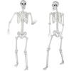 SIFOEL Scheletro a grandezza naturale per Halloween, 180 cm con articolazioni mobili, per decorazioni spaventose per feste di Halloween (2Pcs)