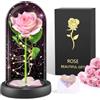 BOLEi Rosa Regalo Per Donne, Rosa Eterna In Vetro, Regalos Per Mamma, regali Di San Valentino Per Lei, Regalo- Di Natale Per Donne, regalis Per Sorelle, Mamma, Nonna(Rose Rosa)