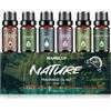 HANOLLY Oli Essenziali Pulito per Diffusori 6x10ml, Olio Essenziale Naturali per Profumo casa Massaggio, Lino Fresco, Profumo di Bebè, Cotone Puro, Casa Fresca, Eucalipto & Menta, Bagno Sera