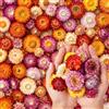 AIYONG Circa 150 Pezzi Fiori di Gerbera Autunnali Artigianato di Teste di Fiori Finti Arredamento, Capolini di Simulazione, per la Casa, la Festa di Nozze Fai da te Centrotavola Decorazioni