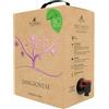 Torri Cantine Vino rosso Sangiovese IGT Terre d'Abruzzo in Bag in Box 5L