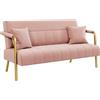 Yaheetech Divano Imbottito a 2 Posti in Velluto Divanetto da Salotto con Braccioli 143,5 cm × 71,5 cm × 75,5 cm Sofa Moderno con 2 Cuscini Divano per Soggiorno Camera da Letto Rosa