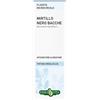 ERBA VITA ESTRATTI LIQUIDI Mirtillo Nero Bacche Tintura Idroalcolica 50 Ml Ebv