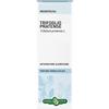 ERBA VITA ESTRATTI LIQUIDI Erba Vita Trifoglio Pratense Soluzione Idroalcolica 50 Ml