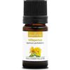 La Compagnie des Sens IPERICO (Hypericum Perforatum) BIO - 5mL - Olio Essenziale di Qualità Premium - 100% Puro, Naturale, chemotipizzato e integrale