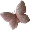 Generico Cuscino in peluche a farfalla,Cuscino a farfalla - Cuscino decorativo 15,7 x 11,8 pollici,Cuscino per divano a forma di farfalla, cuscino decorativo per divano letto, soggiorno