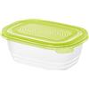 Rotho Sunshine Lattina per Alimenti Freschi con Coperchio, Plastica (PP) senza BPA, Verde, 0.5 L, 15.5 x 11.0 x 6.0 cm