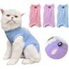 WANDGU - Tuta di convalescenza per gatti dopo la sterilizzazione: tuta 3 pezzi per gatto dopo chirurgia, body anti-leccare, abbigliamento interno per gatti con ferite addominali