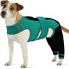 PUMYPOREITY Body Post Operatorio Cane, Tutina Post Operatoria Femmina Body Post Operatorio Maschio Protezione Zampe Posteriori Cane Tuta Recupero Chirurgia Gamba(Verde, XS)