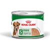 ROYAL CANIN MINI AGEING LATTINA CANE gr 195