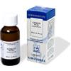 SARANDREA MARCO &C. Srl EXTRAGEM GINKGO GEMME 20ML