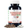 Alzuro Labs Corteccia di Magnolia | 15.000 mg equiv. | Alto dosaggio estratto 60:1 250 mg (90% magnololo e honokiolo) | Magnolia officinalis | GMP & Testato da Laboratorio Indipendente