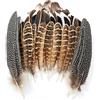 MWOOT 40 Pezzi Piume Decorative Naturali, 4 Stili Piume di Fagiano Piume D'Anatra, Piume Artigianali per Fai da Te Acchiappasogni Costume di Carnevale Mascherata Festa di Nozze Decorazione