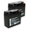 Quality Batteries Batteria di ricambio per centrale antincendio Minimax FMZ 5000 mod S 2 x batteria AGM 12V 18Ah con VdS
