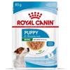 Royal Canin Dog Puppy Mini Bocconcini in Salsa Busta 85 g