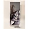 Profilo Monna Lisa 1 GIORNO!! Ado Penlight Japan Live Tour 2024 Profilo Ufficiale Monna Lisa Pro...