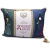 Disney Tokyo Disney Resort Limited Elsa Ana Frozen Cushion Fantasy Springs dal Giappone