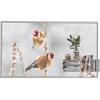 LG 55EW5P-M Segnaletica OLED trasparente