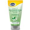 Scholl Crema Nutriente Intensiva 150 ml