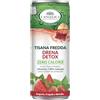 L'Angelica Tisana Drena Detox, Tisana Depurativa Zero Calorie, Tisane Fredde in Lattina, Infusione Naturale Senza Zuccheri né Conservanti, Confezione da 240ml