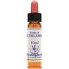 Star Of Bethlehem Essenza 10Ml 10 ml Gocce orali