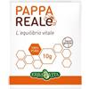 ERBA VITA GROUP SpA Erba Vita Pappa Reale Fresca 10 g - Integratore Naturale di Pappa Reale