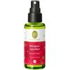 Primavera Incanto invernale Natale Spray per ambienti 50 ml