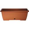 Erba Cassetta Oasi cm 25 terracotta con sottocassetta