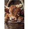 Artinhand Fantastici Jigsaw Puzzle per Adulti 300 Pezzi Toro delle Highlands Puzzle Sfidanti per Adulti Regalo per Amici Famiglia Decorazione per la Casa Puzzle