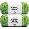 Caron Jumbo Foliage - Filato per lavori a maglia, confezione da 2 pezzi, 340 g, 100% acrilico, pettinato, #4 (medio), 500 m, per lavori a maglia/uncinetto