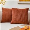 K KEVIN TEXTILE Kevin Textile - Set di 2 federe decorative in morbido velluto a coste, stile bohémien, a righe, decorazione per la casa di campagna, per divano, letto, divano, soggiorno, 40,6 x 40,6 cm, colore