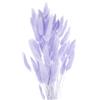 QUARKZMAN 60pcs Code Di Coniglio Naturali Fiori Secchi 16 Mini Erba Delle Pampas Lagurus Ovatus Mazzo Per Decorazioni Floreali Matrimonio Natale Viola