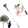 Avilia - Abbacchiatore Olive a Batteria 400W con Asta Telescopica Fino a 3 Metri, Scuotitore Olive Elettrico con Rastrello ABS e Cavo da 12 Metri per Raccolta Veloce e Sicura
