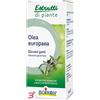 BOIRON SRL OLEA EUROPAEA BOIRON MACERATO GLICERICO 60 ML